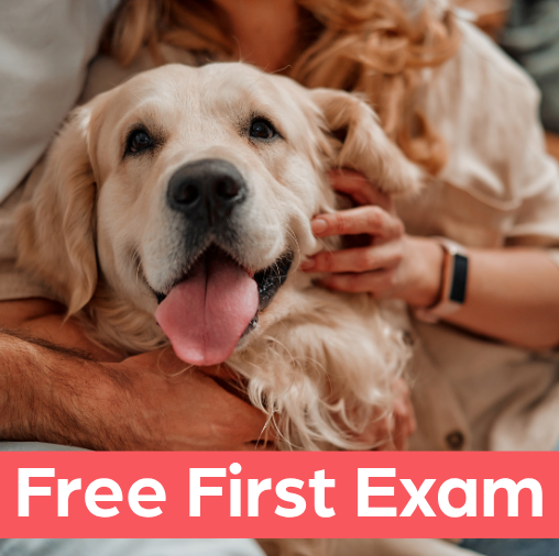 Free First Exam