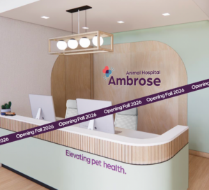Front Lobby for Ambrose Animal Hospital