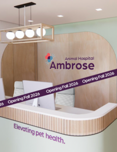 Front Lobby for Ambrose Animal Hospital